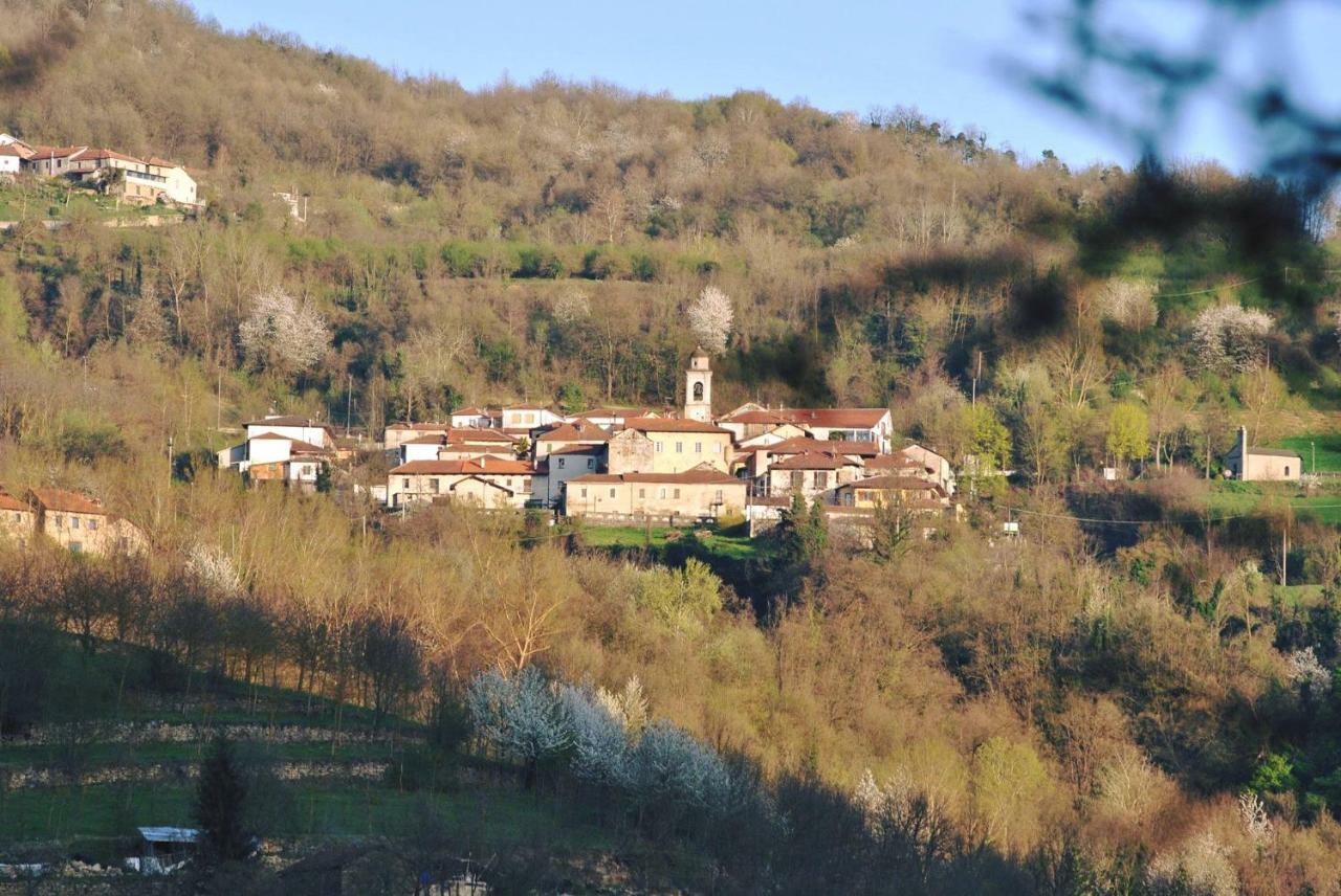 B&B Le Coccinelle Torre Bormida Екстериор снимка