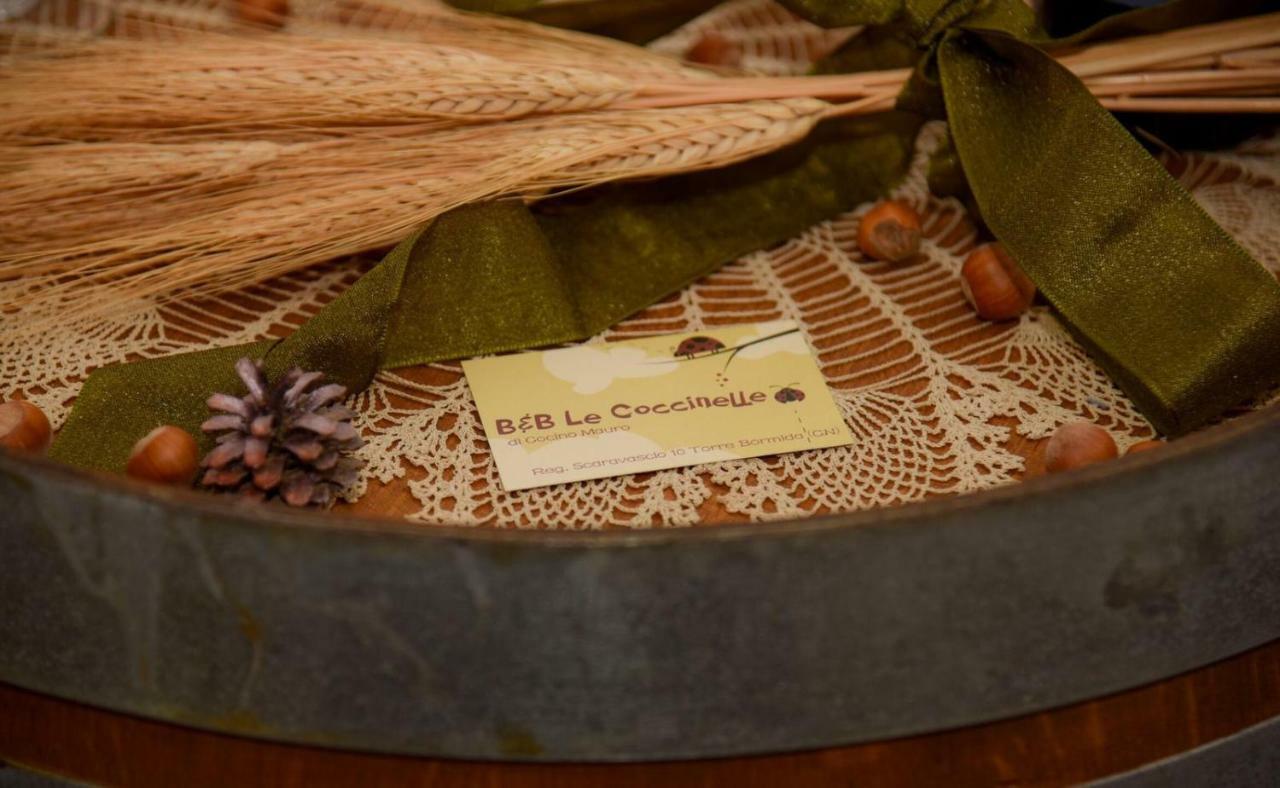 B&B Le Coccinelle Torre Bormida Екстериор снимка